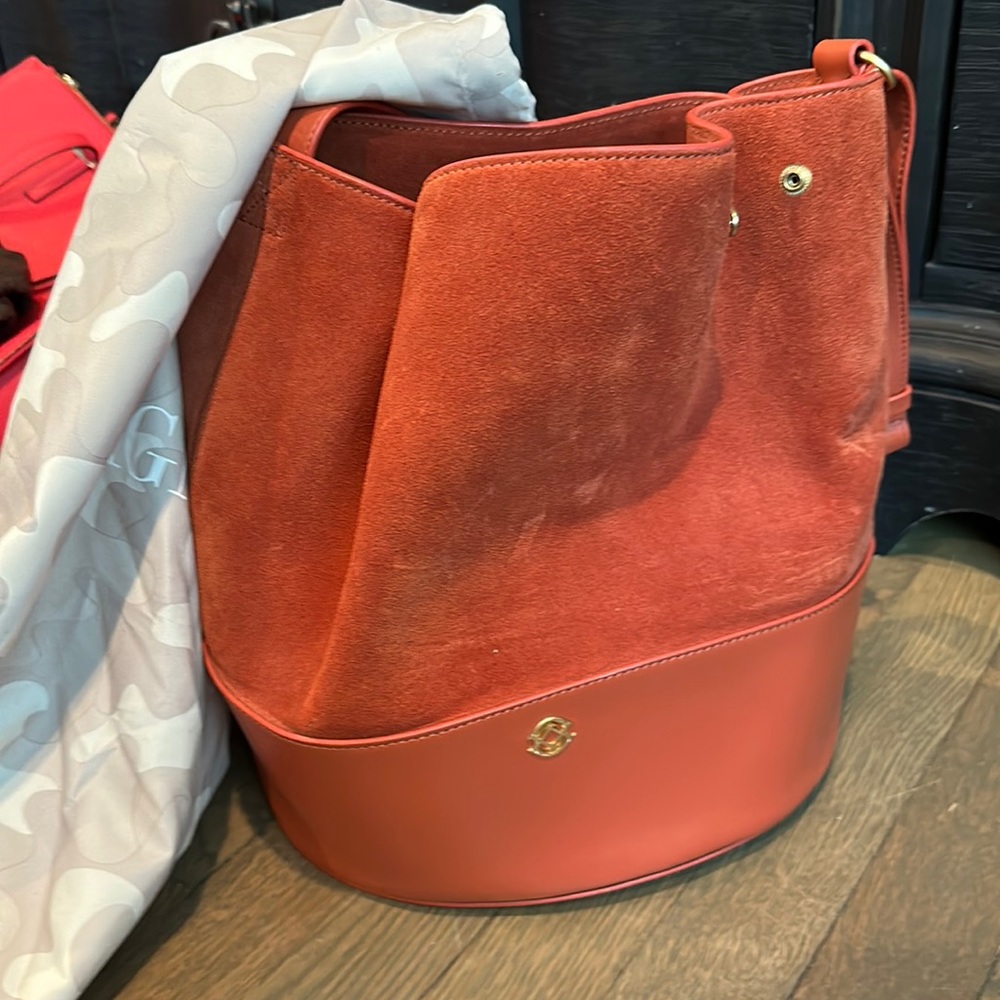 RARE Dagne dover NWT burnt orange bucket bag